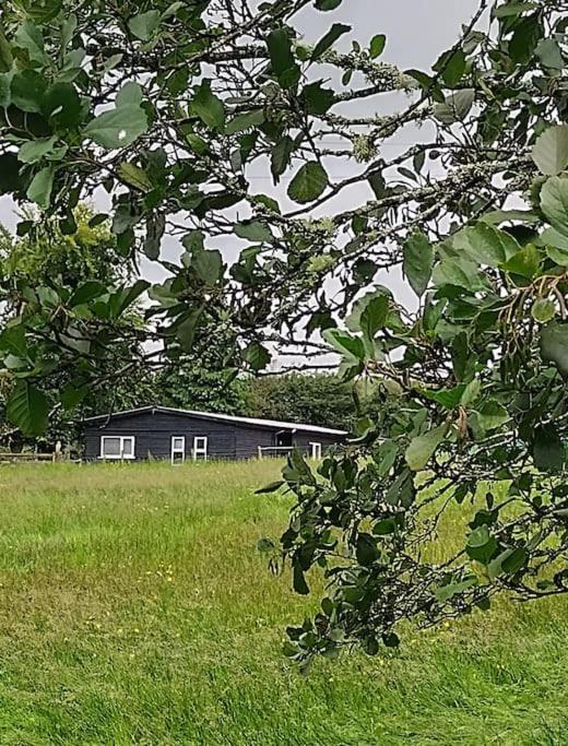 Drummacahan Lodge Ederny Eksteriør bilde